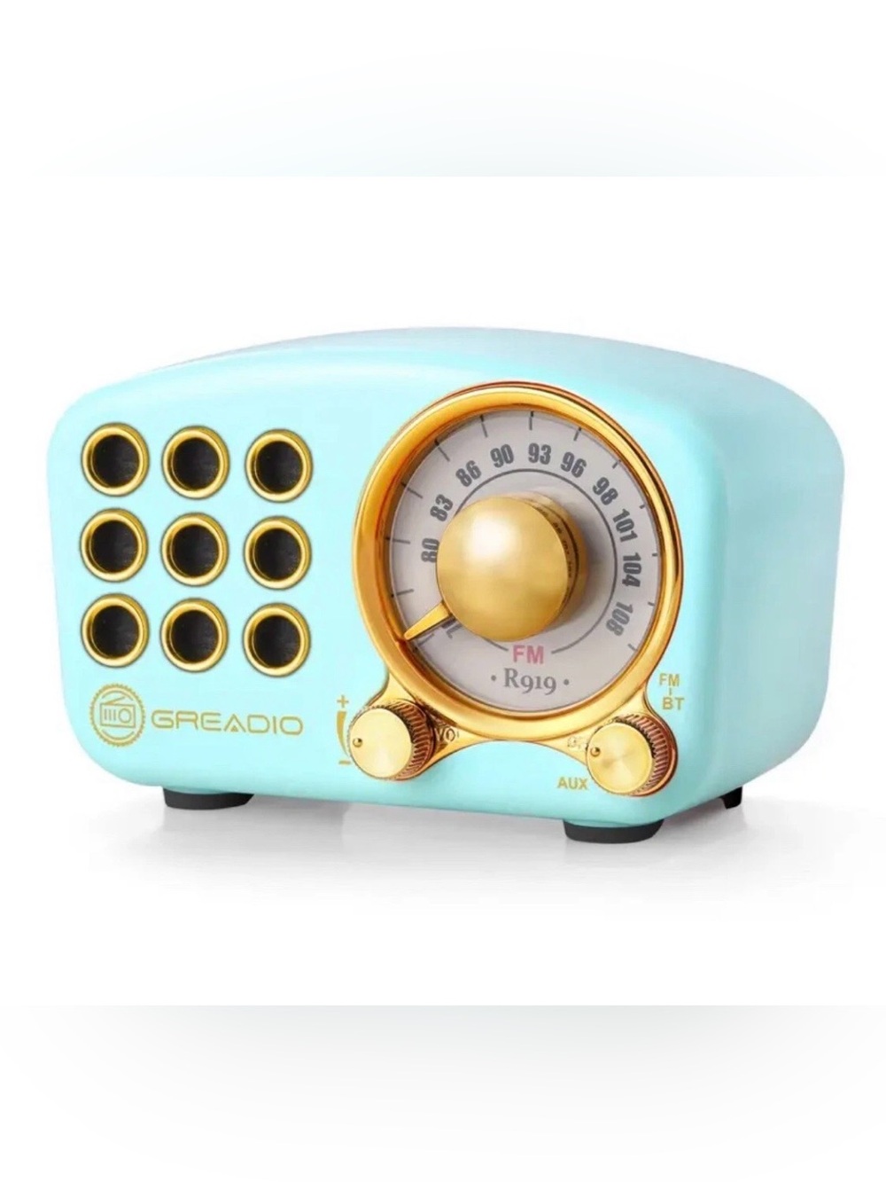 Greadio Mint Portable Bluetooth FM Radio Speaker